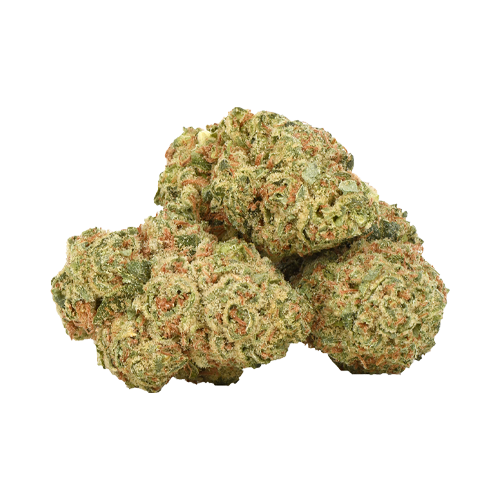 Highly Dutch Rotterdam Indica - Highly Dutch Rotterdam Indica