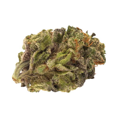 Twd.28 Tropical Hazy Daze - Twd.28 Tropical Hazy Daze