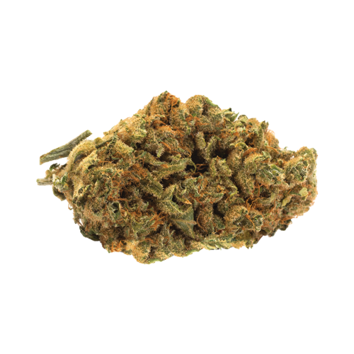 Twd.28 Lazy Berry Blaze - Twd.28 Lazy Berry Blaze