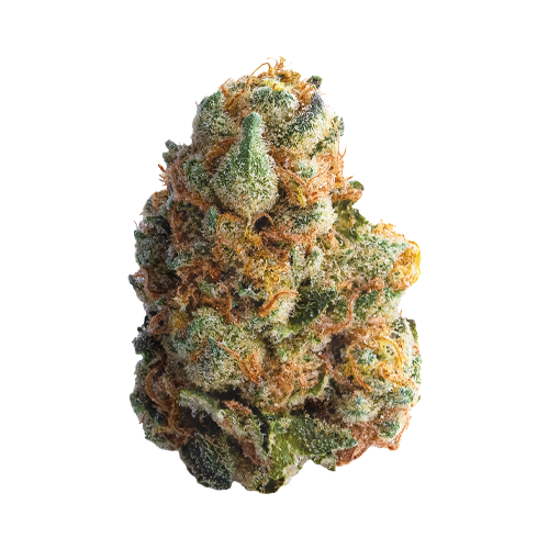 Spinach GMO Cookies - Spinach GMO Cookies
