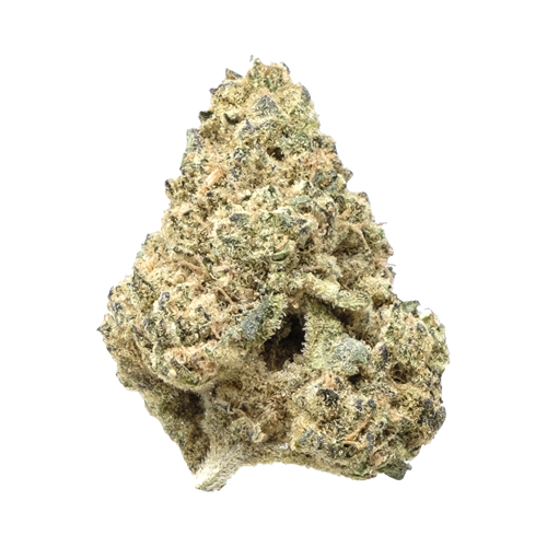 Crooked Dory Sativa - Crooked Dory Sativa