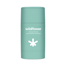 Link to Wildflower CBD Relief Stick