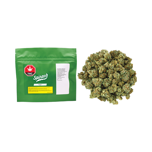 Spinach GMO Cookies - Spinach GMO Cookies