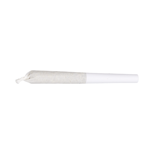 Good Supply Jean Guy Pre-Roll - Good Supply Jean Guy Pre-Roll