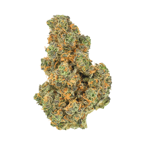 San Rafael '71 Pink Diesel - San Rafael '71 Pink Diesel