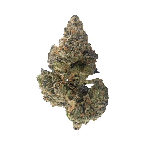 Weed Me Maple Rntz - Weed Me Maple Rntz