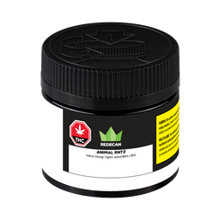 Link to Redecan Animal Rntz