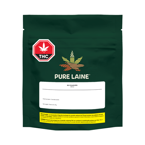 Pure Laine Big Pleasures Sativa - Pure Laine Big Pleasures Sativa