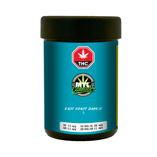 MTL East Coast Dank'z - MTL East Coast Dank'z