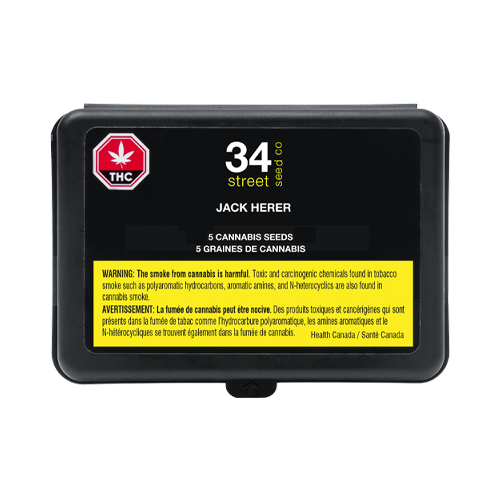 34 Street Seed Co Jack Herer Seeds - 34 Street Seed Co Jack Herer Seeds
