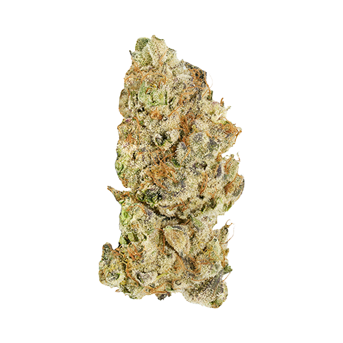Broken Coast Platinum Pave - Broken Coast Platinum Pave