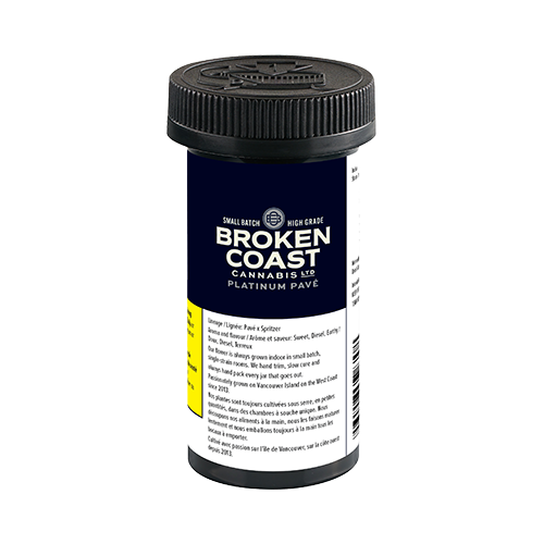 Broken Coast Platinum Pave - Broken Coast Platinum Pave
