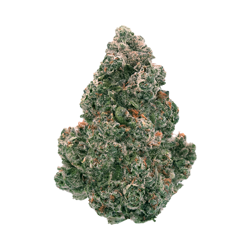 Back Forty Liquid Imagination - Back Forty Liquid Imagination