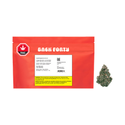 Link to Back Forty Liquid Imagination