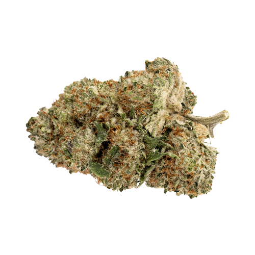 Pure Sunfarms Pink Rhino - Pure Sunfarms Pink Rhino