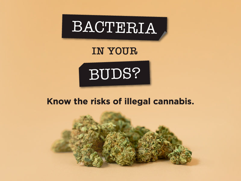 Know the risks of illegal cannabis. Learn more.