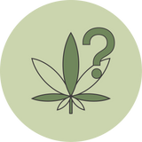 Responsible Cannabis Use