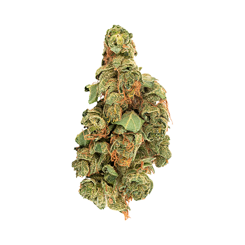 Daily Special Sativa - Daily Special Sativa