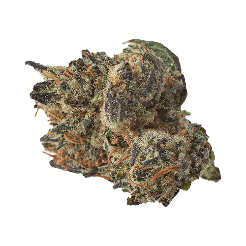 Robinsons Purple Kush - Robinsons Purple Kush