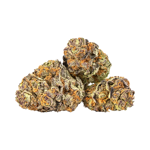 Ness Black Cherry Punch - Ness Black Cherry Punch