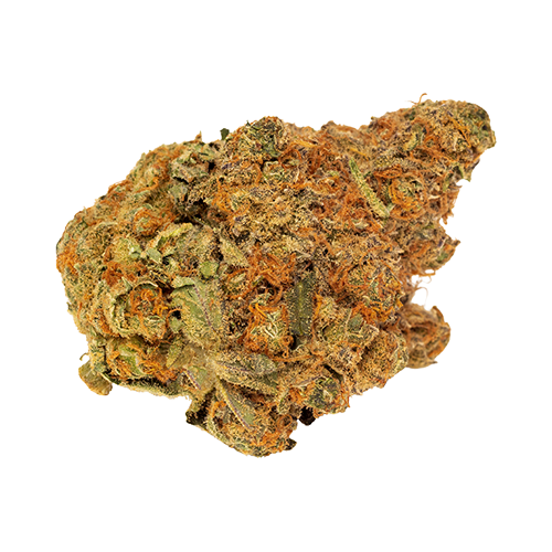 Stash City Orange Apricot - Stash City Orange Apricot