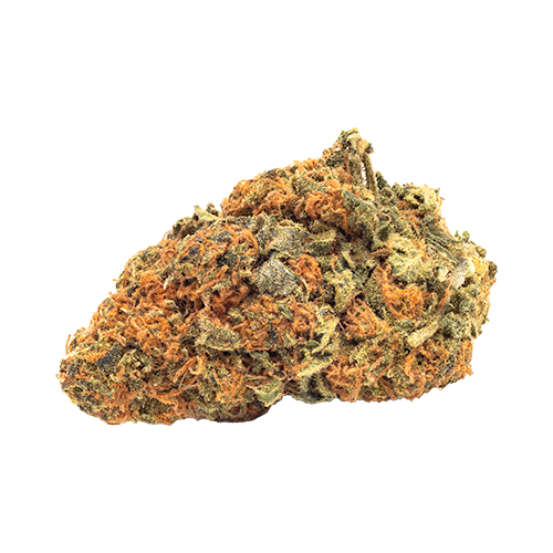 FIGR CBD Shark - FIGR CBD Shark